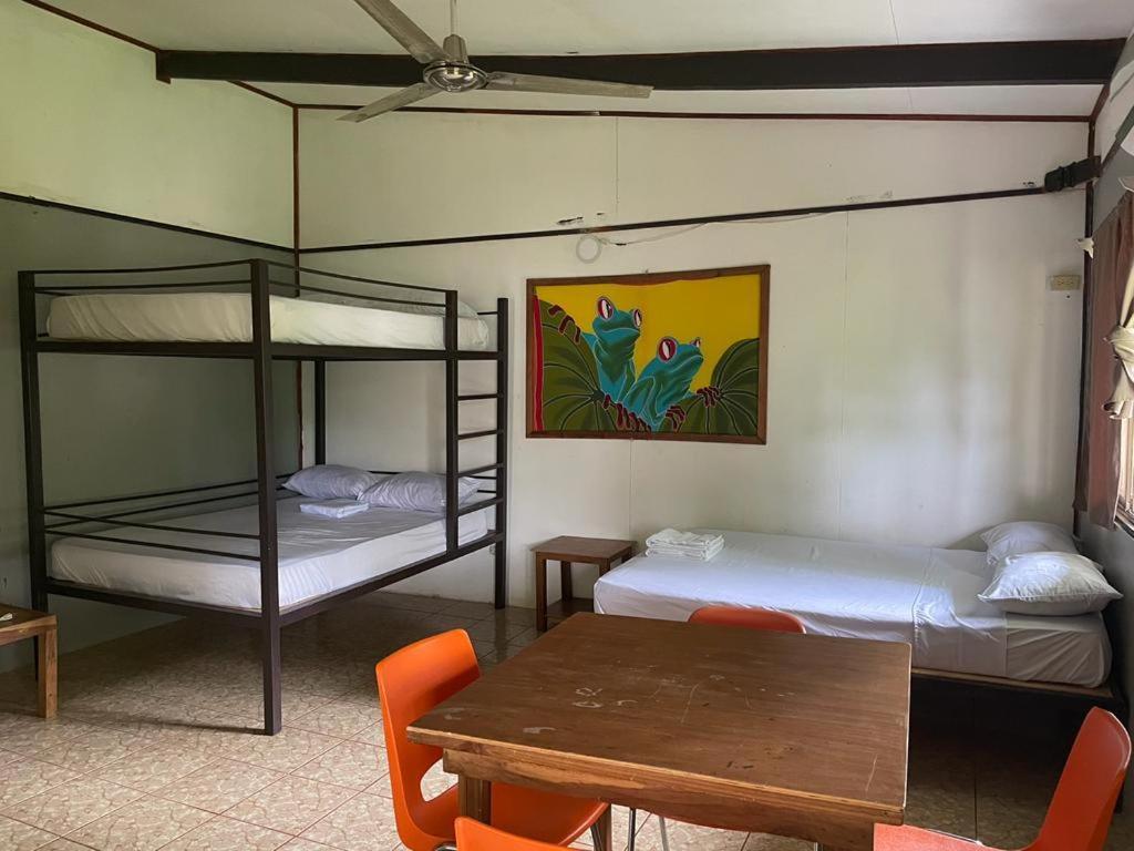 Be My Guest Cabinas Puerto Viejo de Talamanca Eksteriør billede