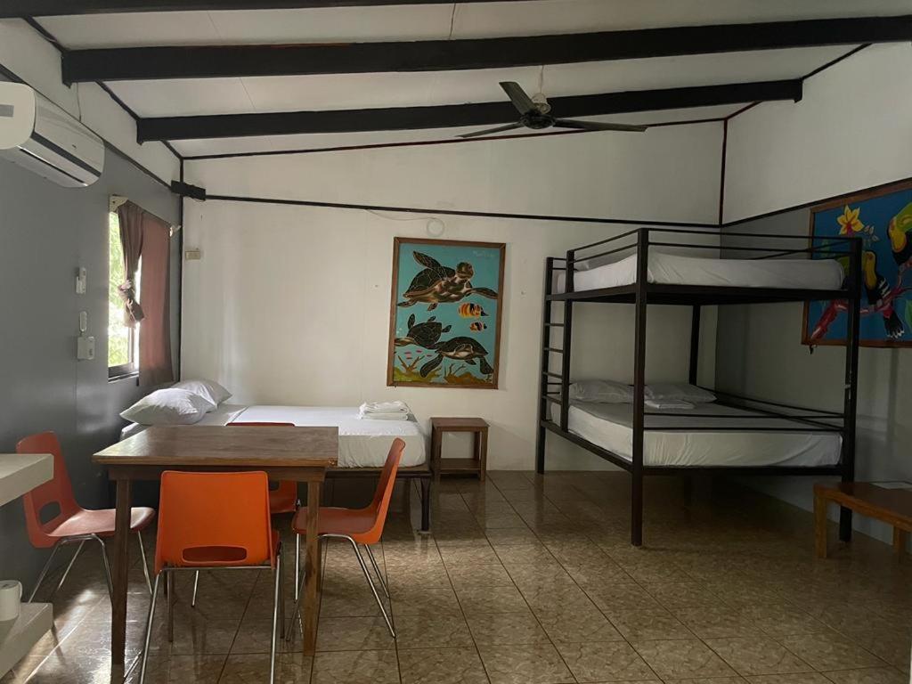 Be My Guest Cabinas Puerto Viejo de Talamanca Eksteriør billede